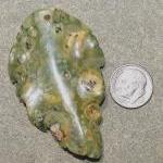 Rhyolite Jasper Leaf Focal ..